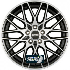 Cerchi in lega CMS C25