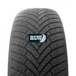 immagine prodotto Q1955015HLIGREENMAXALLSEASON